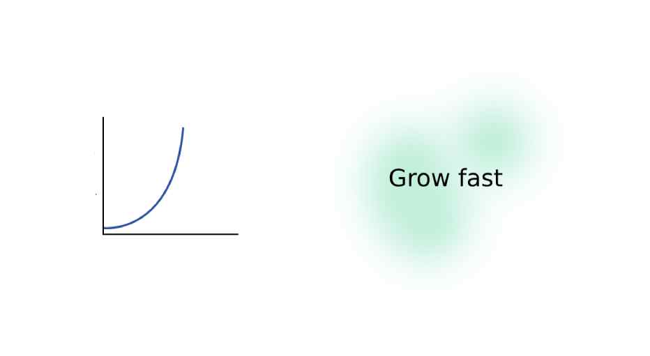 Grow fast with paid ads Grow fast with paid ads